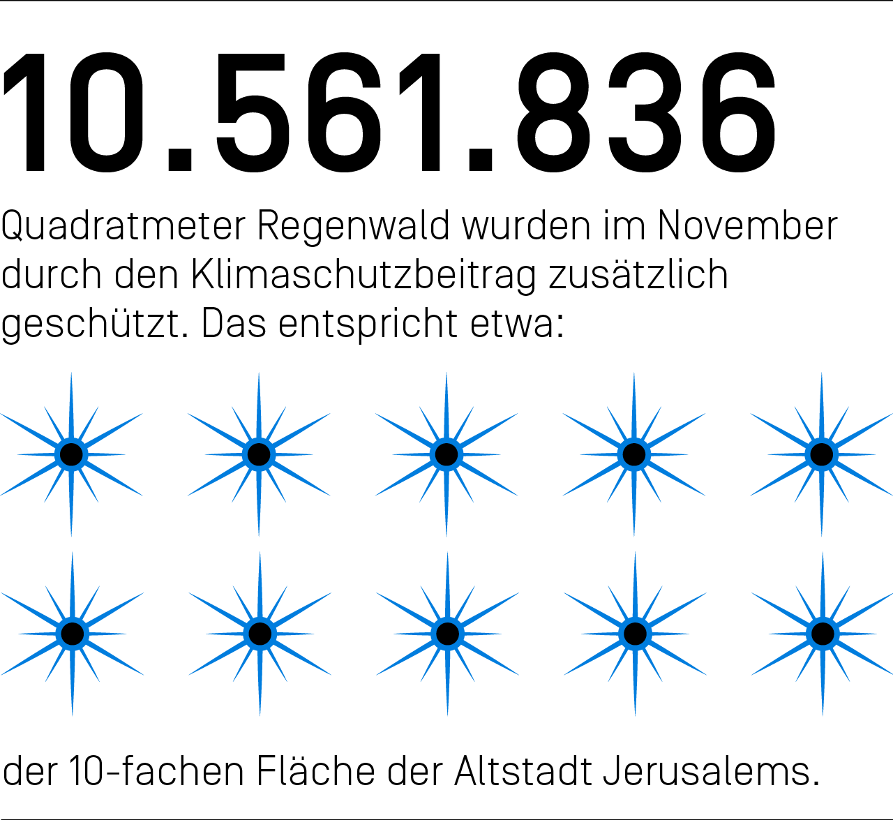 10.561.836 Quadratmeter Regenwald wurden im November durch den Klimaschutzbeitrag zusätzlich geschützt. Das entspricht etwa der 10-fachen Fläche der Altstadt Jerusalems.