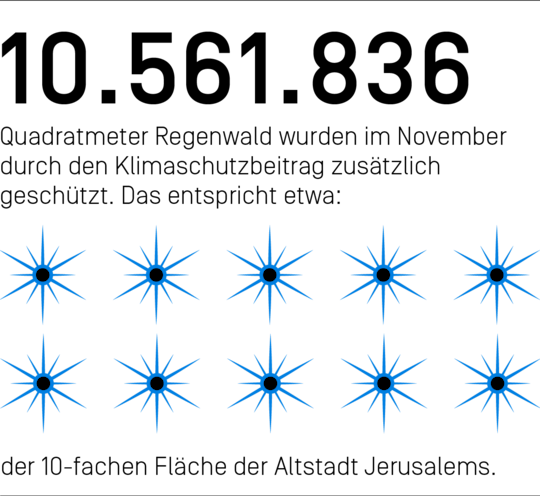 10.561.836 Quadratmeter Regenwald wurden im November durch den Klimaschutzbeitrag zusätzlich geschützt. Das entspricht etwa der 10-fachen Fläche der Altstadt Jerusalems.