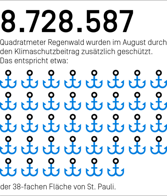 8.728.587 Quadratmeter Regenwald wurden im August durch den Klimaschutzbeitrag zusätzlich geschützt. Das entspricht etwa der 38-fachen Fläche von St. Pauli.