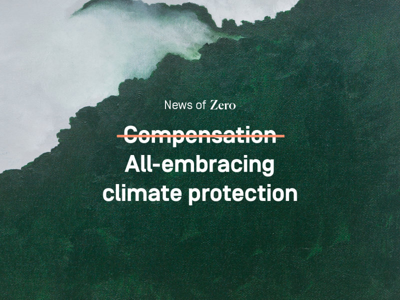 Background with forest painting, with text on it: News of Zero - All-embracing climate protection instead of compensation 