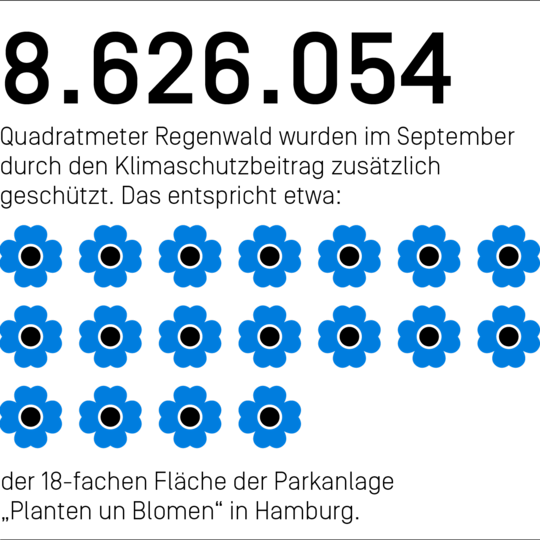 8.626.054 Quadratmeter Regenwald wurden im September durch den Klimaschutzbeitrag zusätzlich geschützt. Das entspricht etwa der 18-fachen Fläche der Parkanlage "Planten un Blomen" in Hamburg.