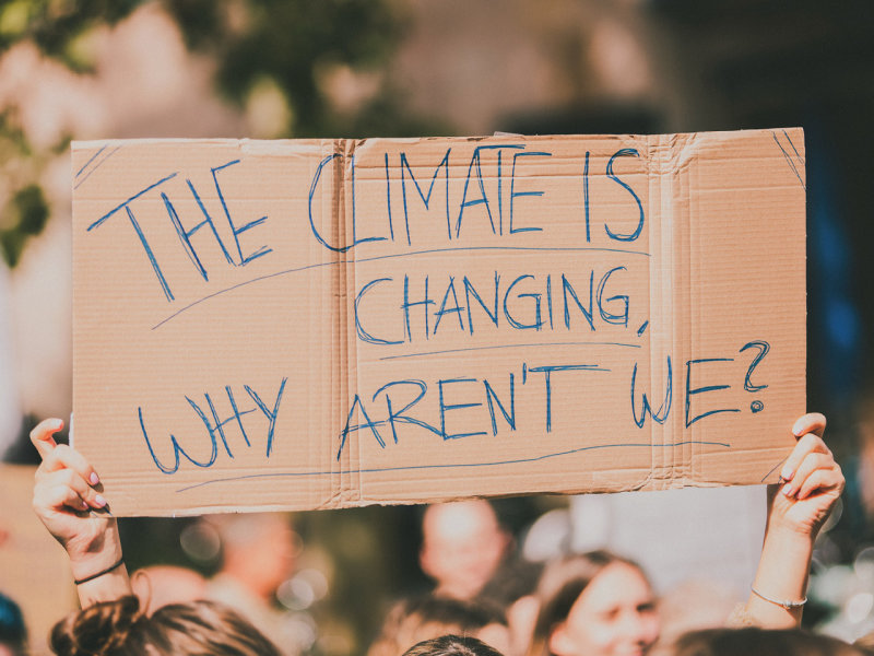 Ein Plakat aus Pappe, auf dem geschrieben steht: Wenn das Klima sich ändert, warum ändern wir uns nicht?