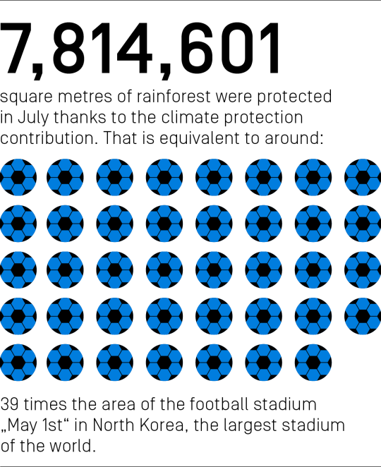 7,814,601 square meters of rainforest were protected in July thanks to the climate protection contribution. That is equivalent to around 39 times the area of the football stadium "May 1st" in North Korea, the largest stadium of the world.