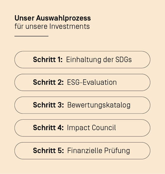 Auswahlprozess Investitionen