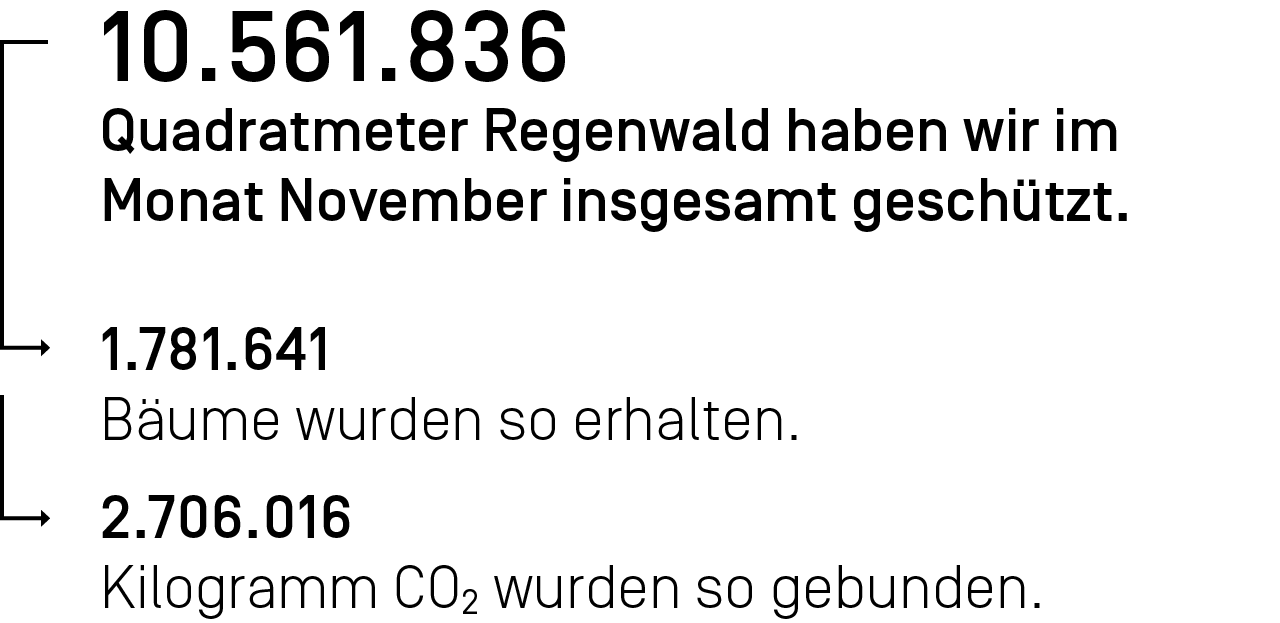 10.561.836 Quadratmeter Regenwald haben wir im Monat November ingesamt geschützt.