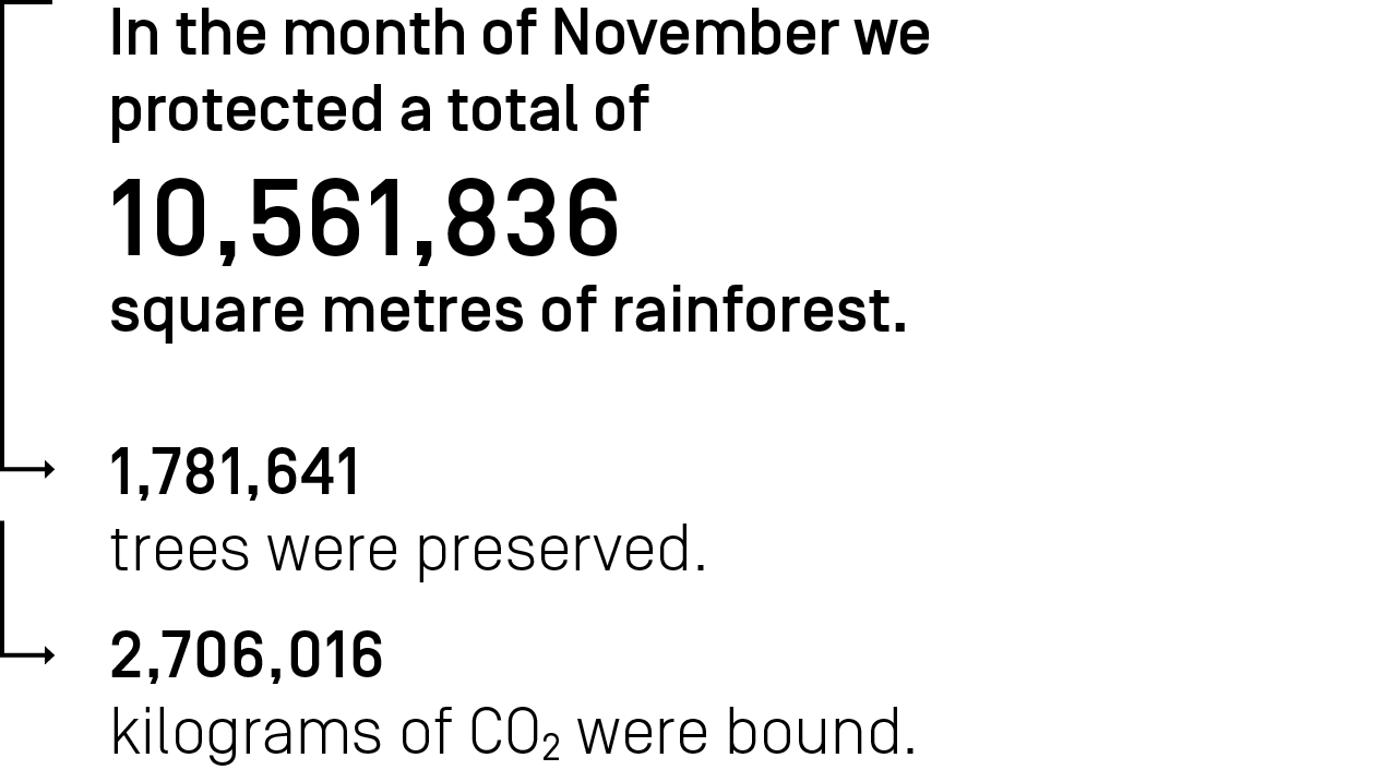 In the month November we protected a total of 10,561,836 square meters of rainforest.