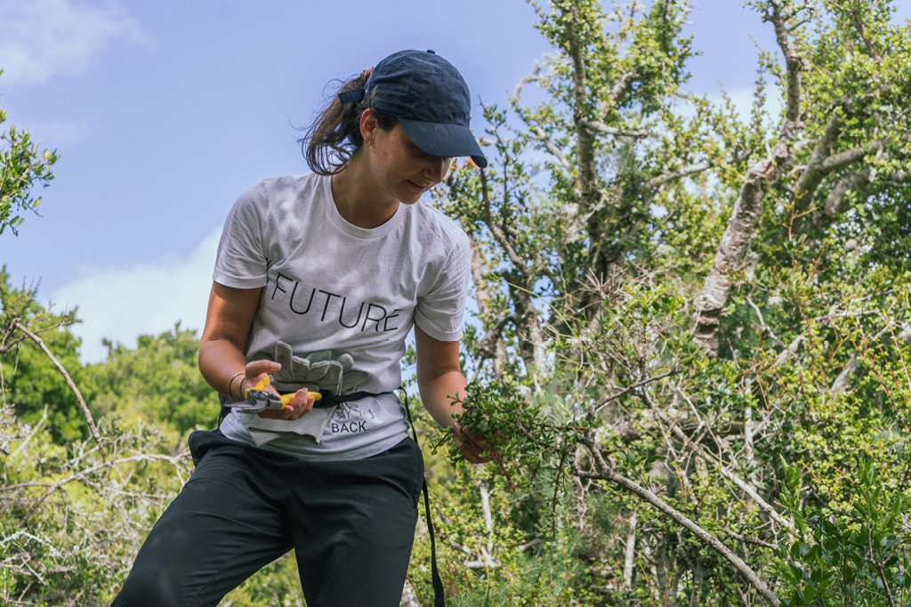 A Tomorrow team member is working on site with the Spekboom project.