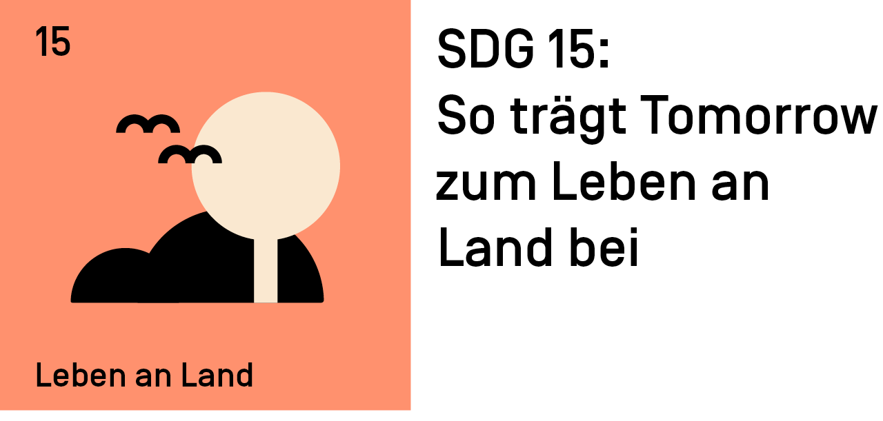 SDG 15: So trägt Tomorrow zum Leben an Land bei