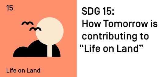 SDG 15: How Tomorrow is contributing on "Life on Land"