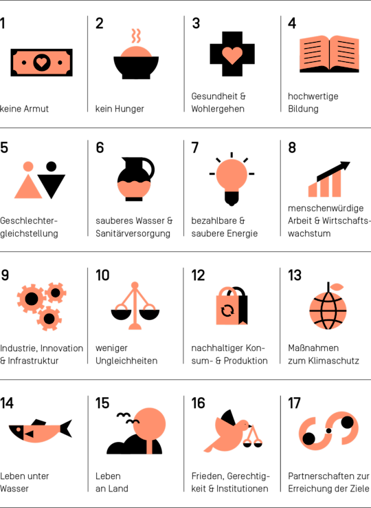 Überblick der 17 Sustainable Development Goals