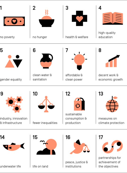 Overview of the 17 Sustainable Development Goals
