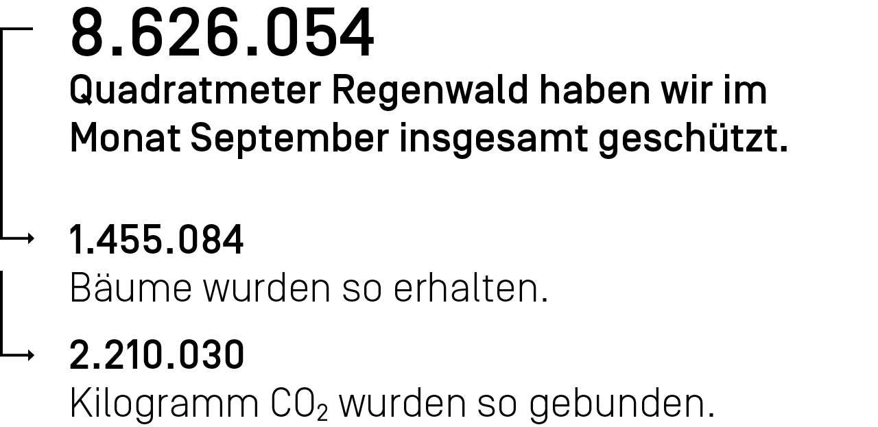 8.626.054 Quadratmeter Regenwald haben wir im Monat September ingesamt geschützt.
