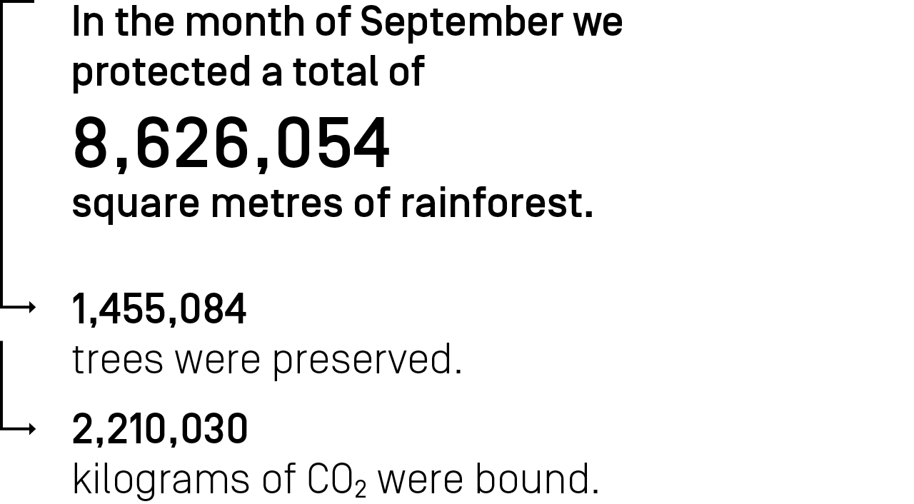 In the month September we protected a total of 8,626,054 square meters of rainforest.
