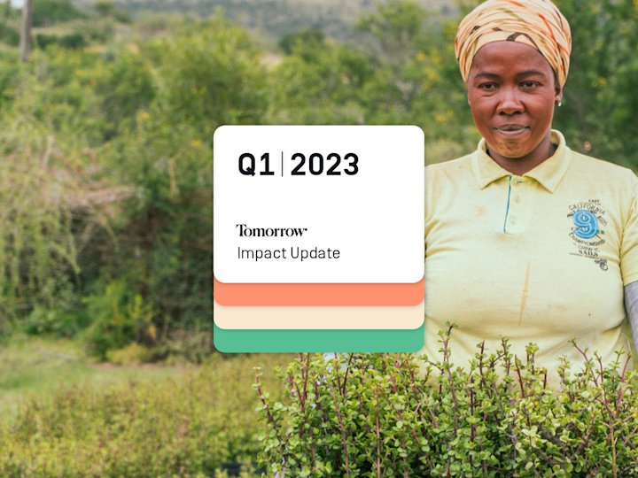 Photo of a women at the spekboom project with text "Q1, 2023 - Tomorrow Impact Update"