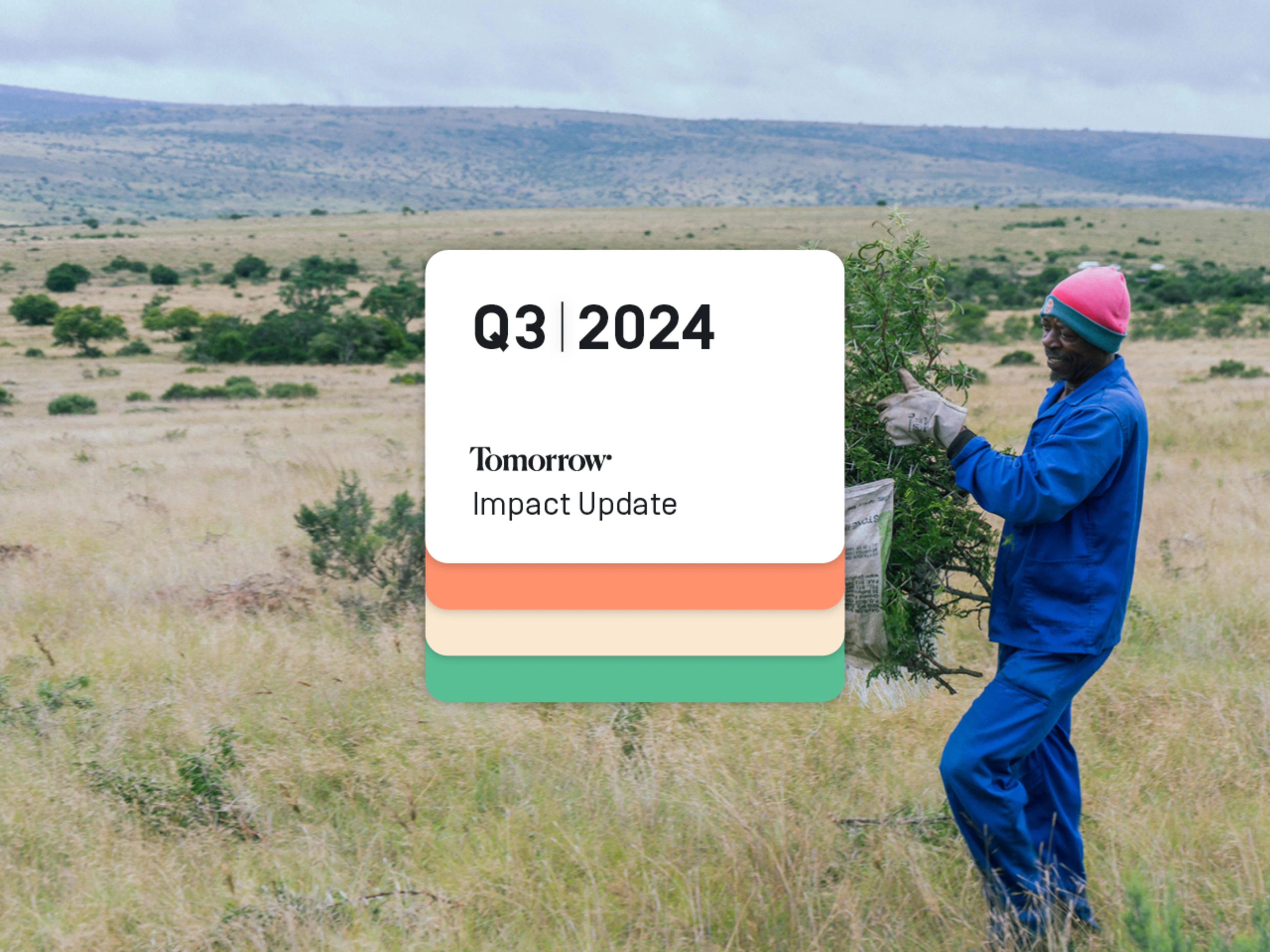 An employee of the Spekboom project can be seen working on site.