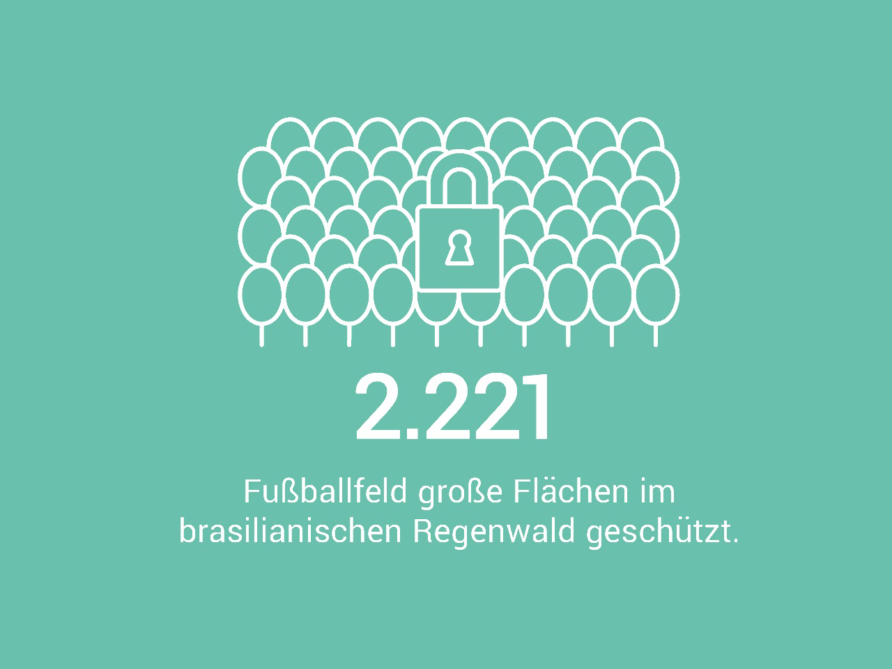 2.221 Fußballfeld große Flächen im brasilianischen Regenwald geschützt