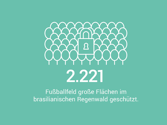 2.221 Fußballfeld große Flächen im brasilianischen Regenwald geschützt
