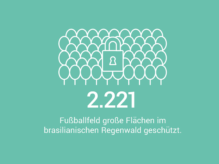 2.221 Fußballfeld große Flächen im brasilianischen Regenwald geschützt