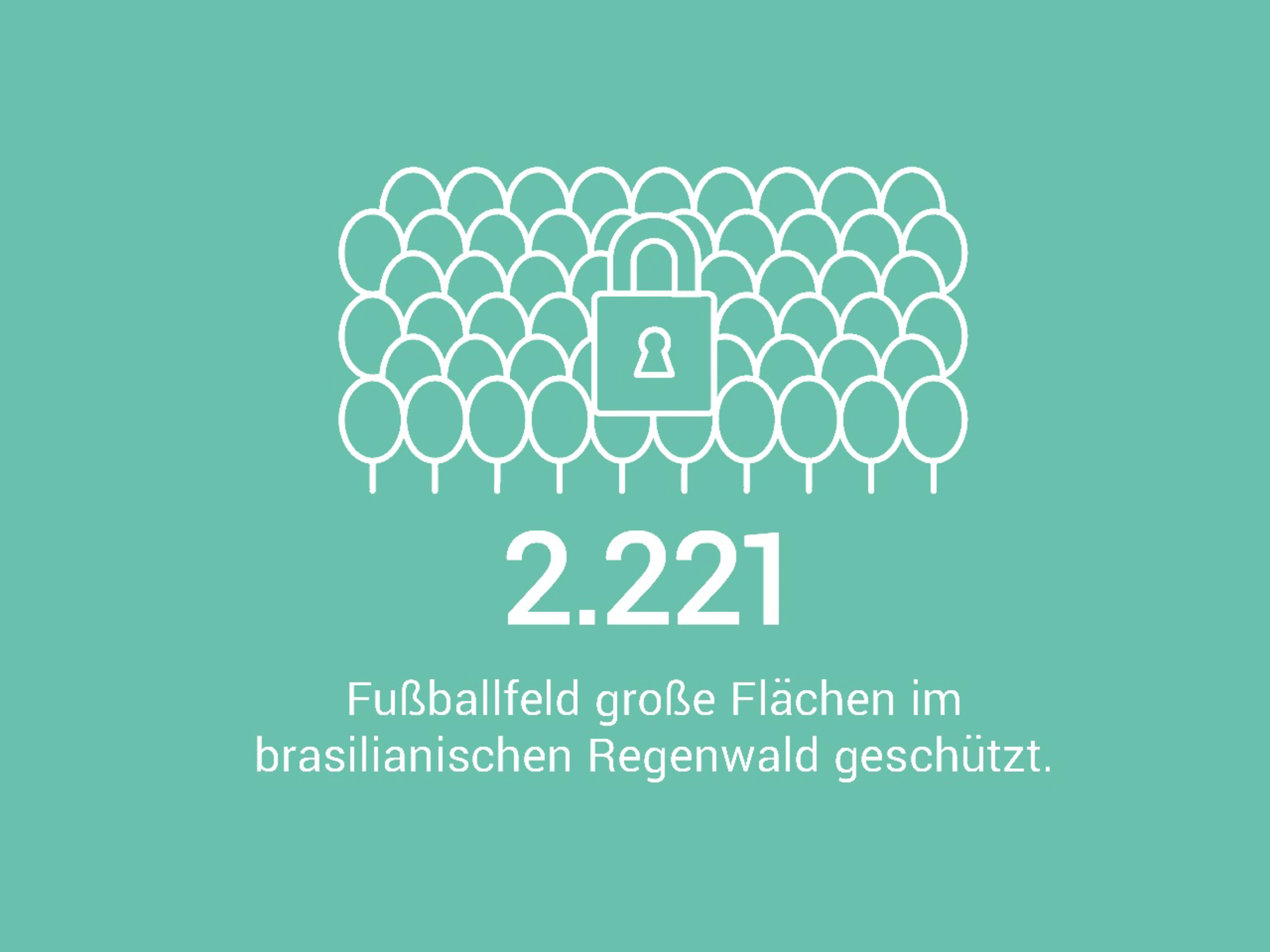2.221 Fußballfeld große Flächen im brasilianischen Regenwald geschützt