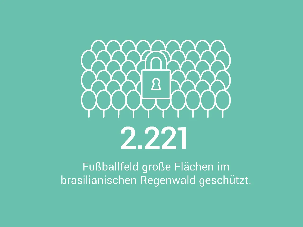 2.221 Fußballfeld große Flächen im brasilianischen Regenwald geschützt