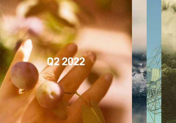 Bildauswahl mit verschiedenen Impressionen, zb Wasser und Wald, darauf geschrieben: Q2 | 2022.