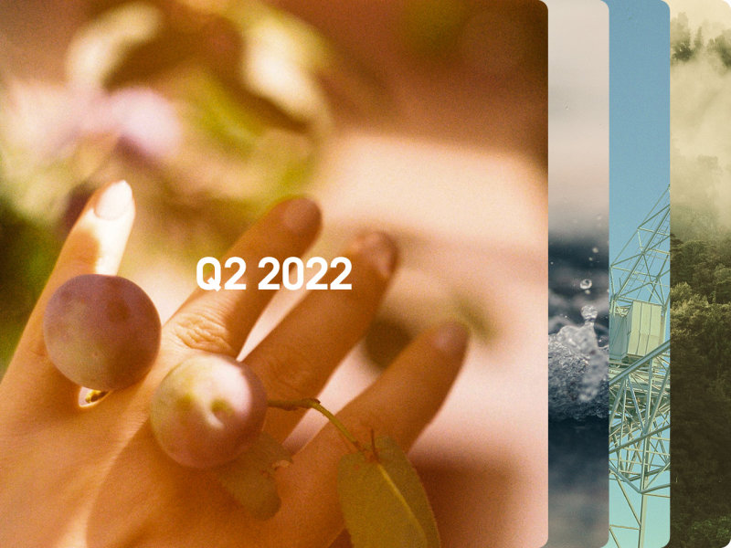 Bildauswahl mit verschiedenen Impressionen, zb Wasser und Wald, darauf geschrieben: Q2 | 2022.