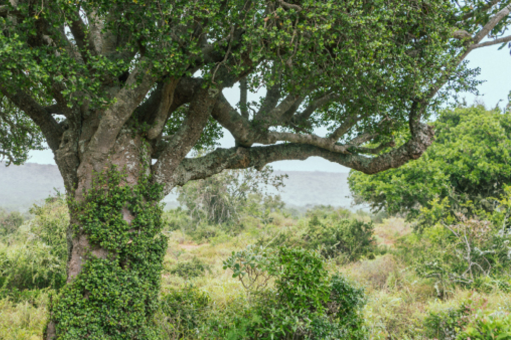 Ein Blick auf das Areal.
