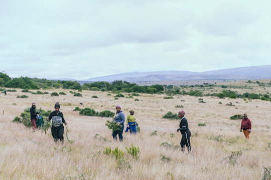 Foto von Arbeiter*inen auf der Hilton Farm