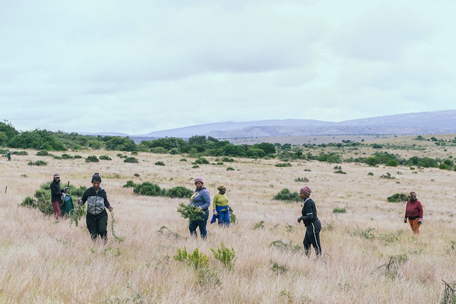 Foto von Arbeiter*inen auf der Hilton Farm