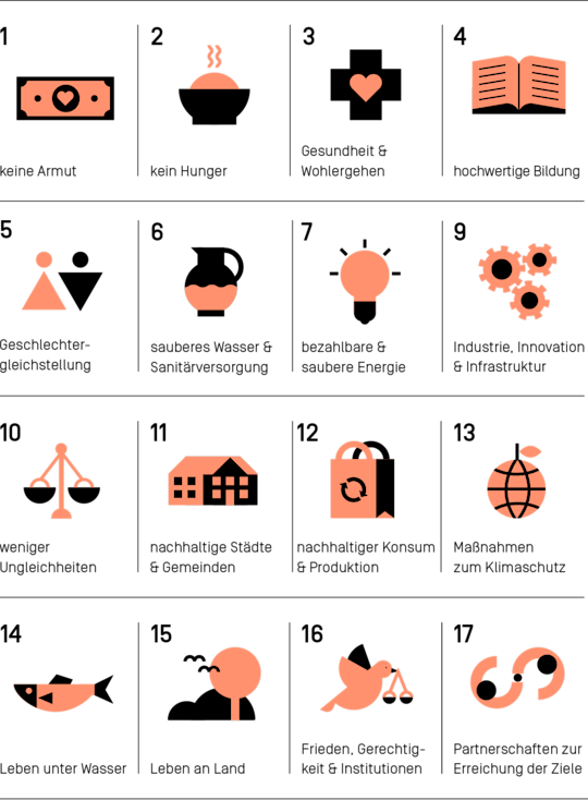 Überblick der 17 Sustainable Development Goals