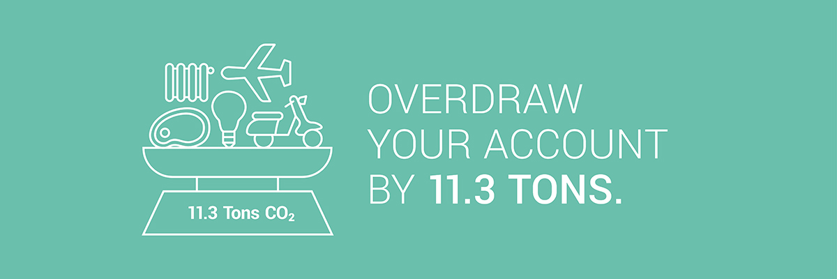 Overdraw your account by 11.3 tons.