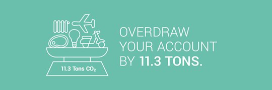 Overdraw your account by 11.3 tons.