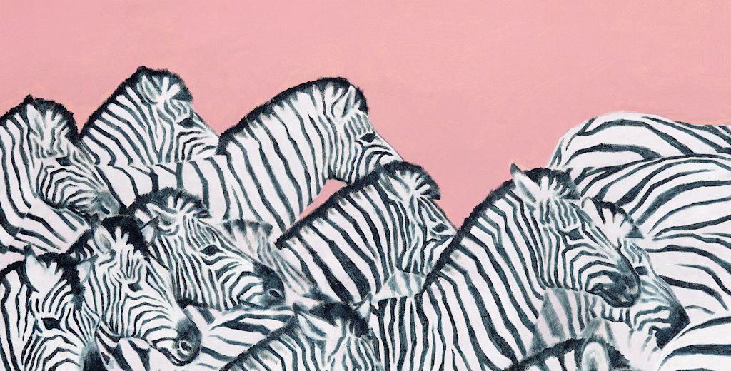 A herd of Zebras in front of a rose background