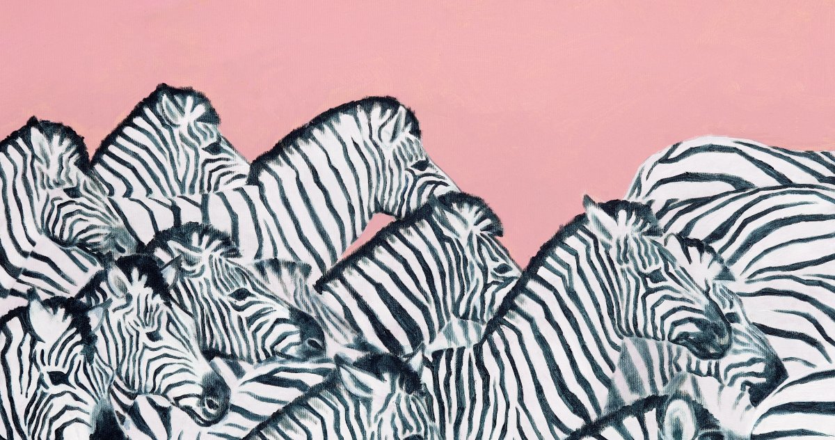 A herd of Zebras in front of a rose background