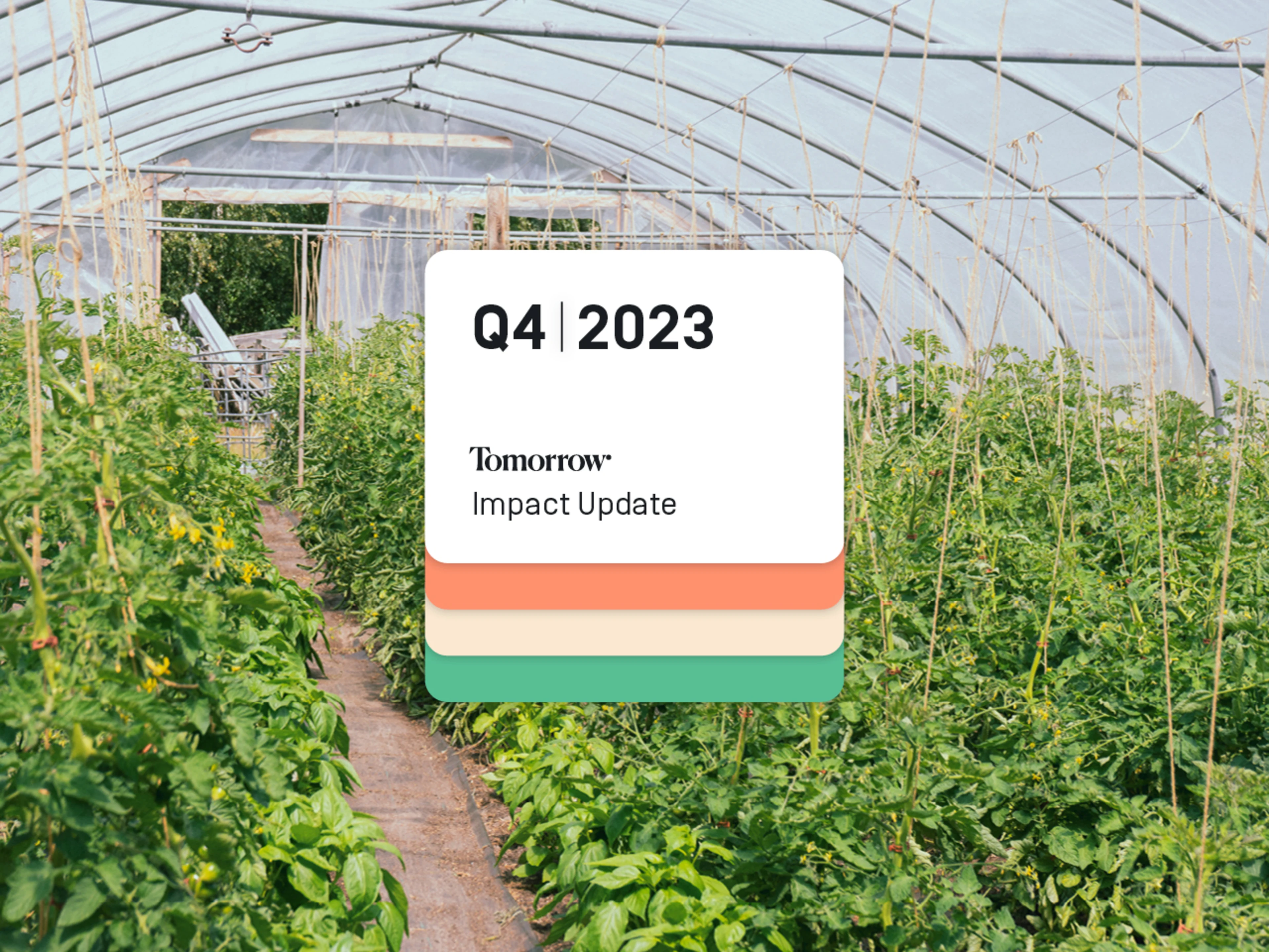 the picture shows a greenhouse