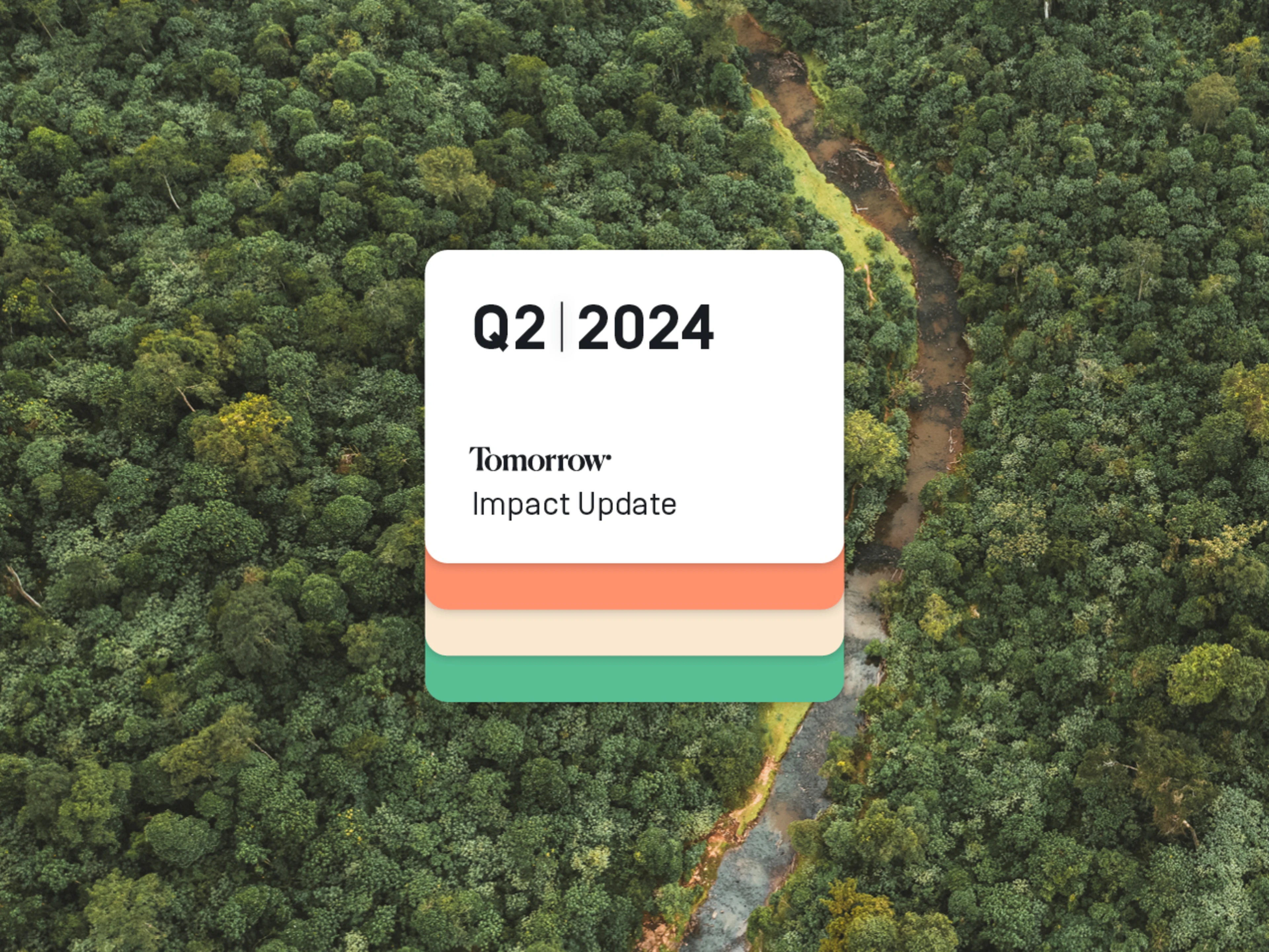 You can see the forest and the inscription: Impact Update Q2 2024