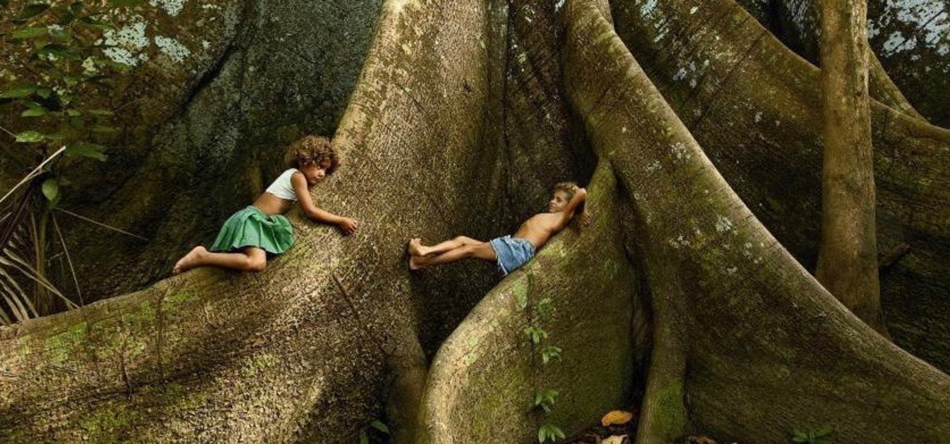 Two children on a big tree root