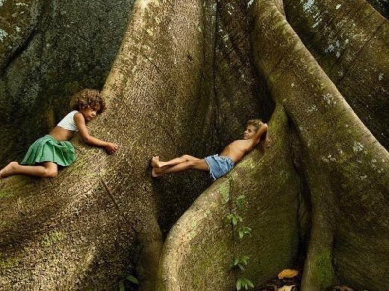 Two children on a big tree root