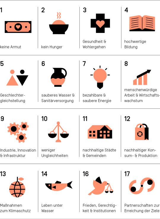 Überblick der 17 Sustainable Development Goals