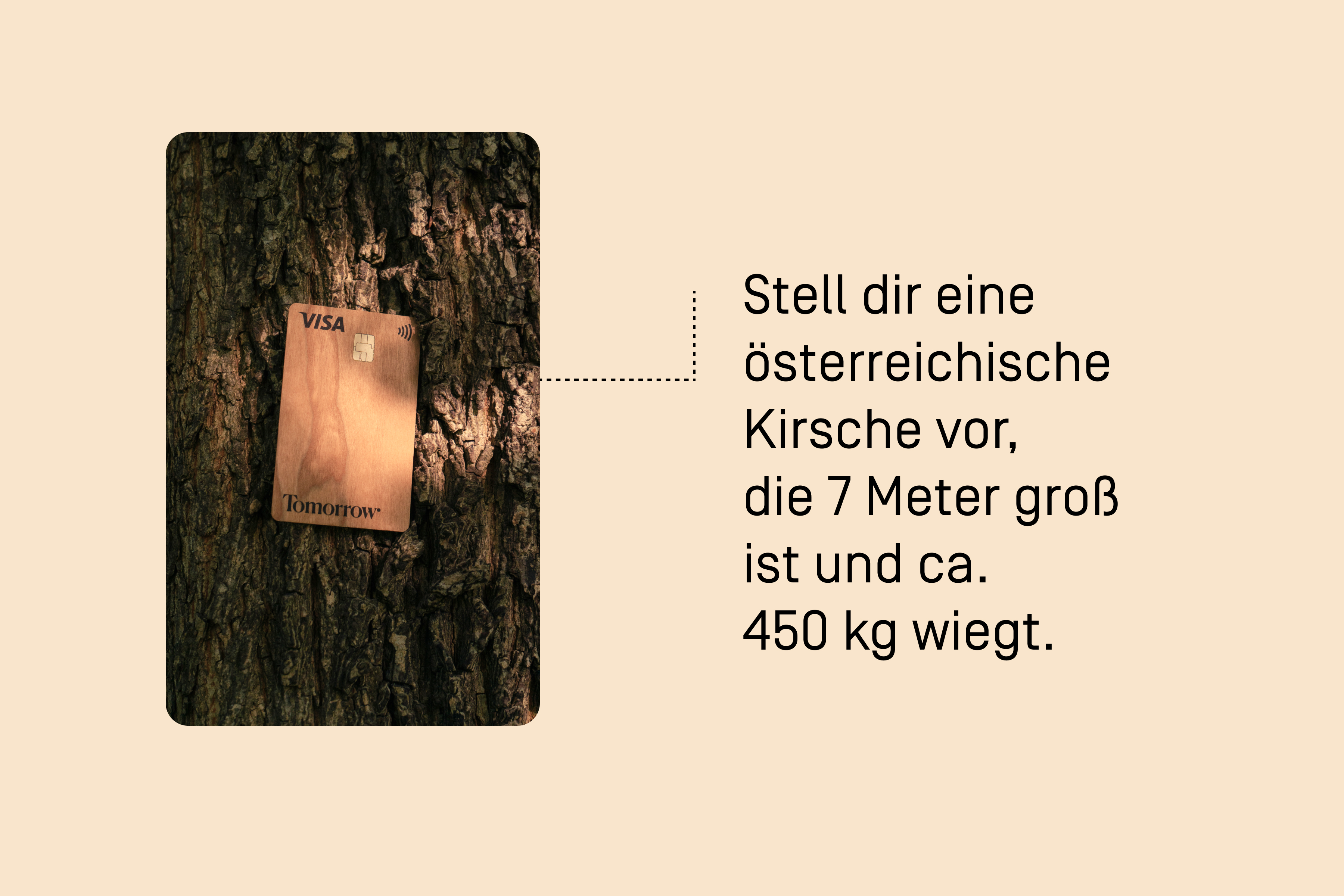 Aus ihr können 11257 Holzkarten gefertigt werden.