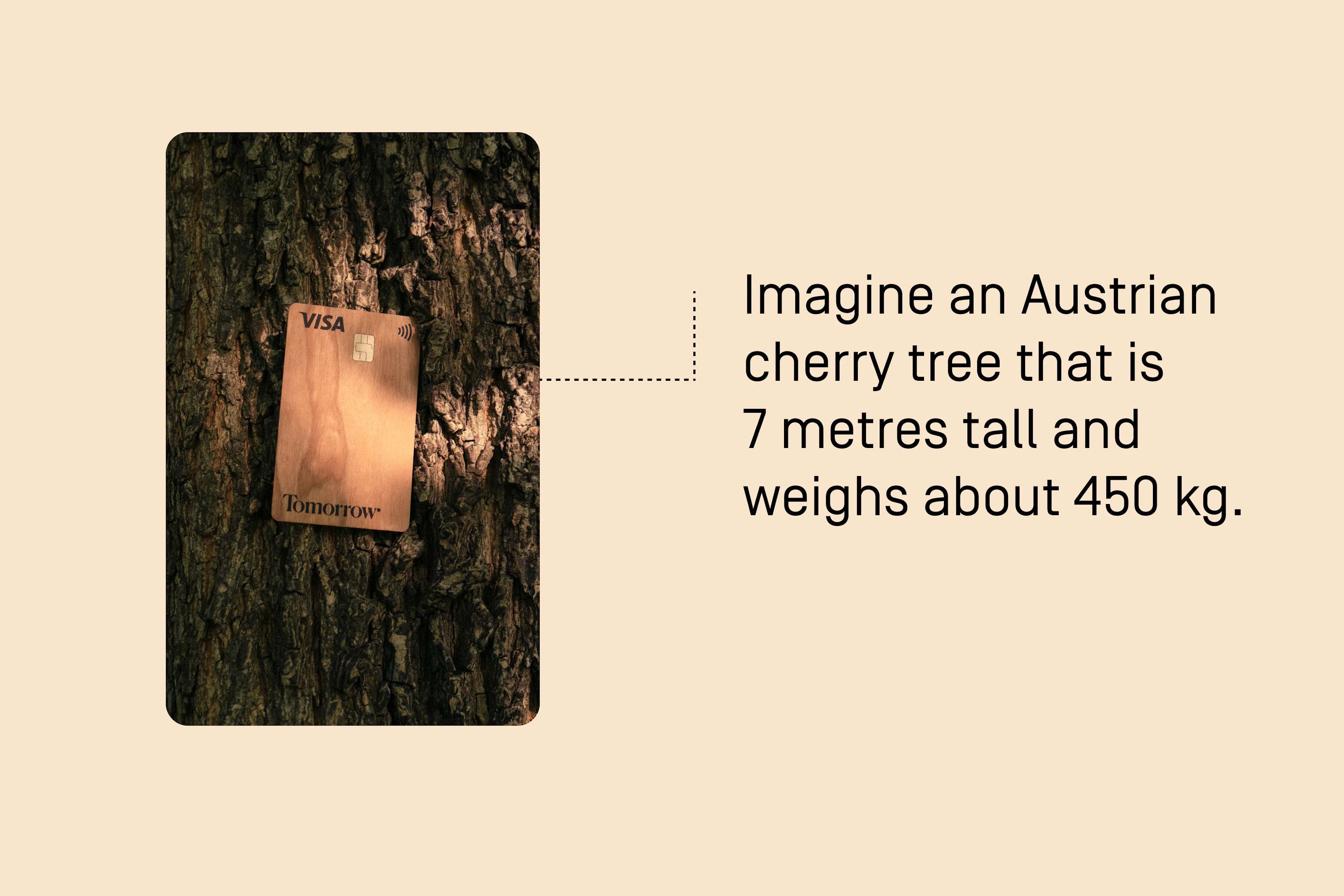 11257 wooden cards can be manufactured from it.