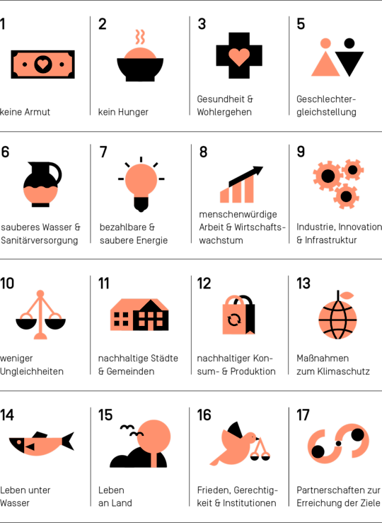 Überblick der 17 Sustainable Development Goals