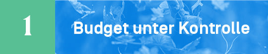 Das Budget unter Kontrolle