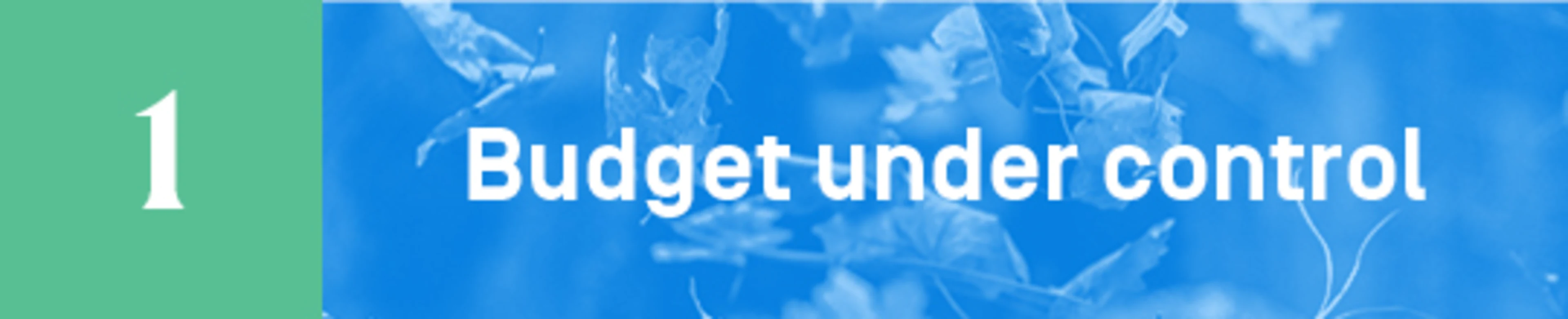 Budget under controll