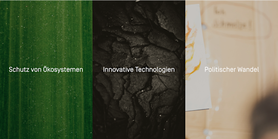 Bildauswahl mit je einer Nahaufnahmen und zugehörigem Text. Von links nach rechts: Fotografie einer Pflanze mit Text "Schutz von Ökosystemen", Fotografie von Kohle mit dem Text "Innovative Technologien" und Fotografie von einem Demonstrationstransparent mit dem Text "Politischer Wandel".