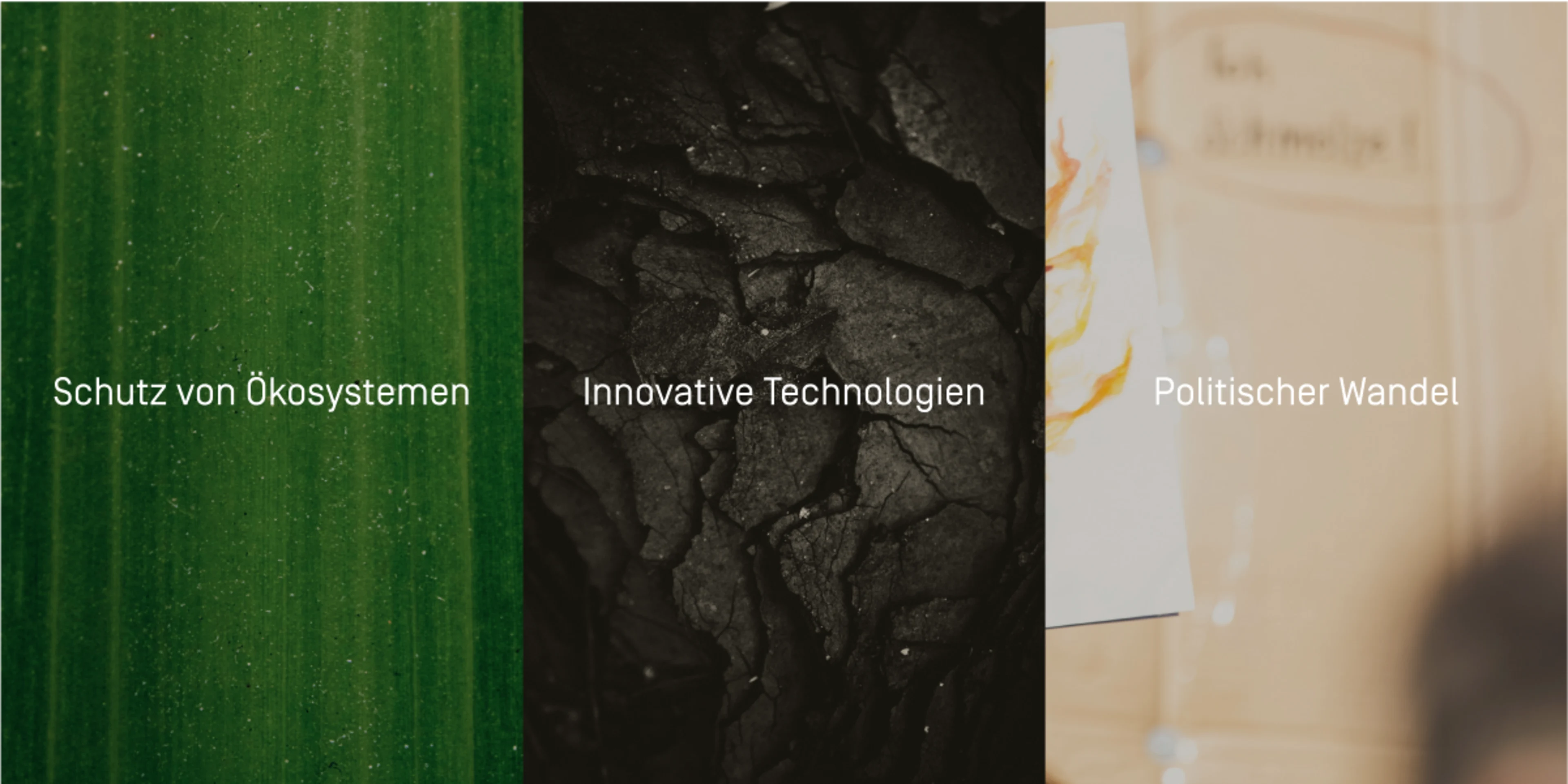 Bildauswahl mit je einer Nahaufnahmen und zugehörigem Text. Von links nach rechts: Fotografie einer Pflanze mit Text "Schutz von Ökosystemen", Fotografie von Kohle mit dem Text "Innovative Technologien" und Fotografie von einem Demonstrationstransparent mit dem Text "Politischer Wandel".