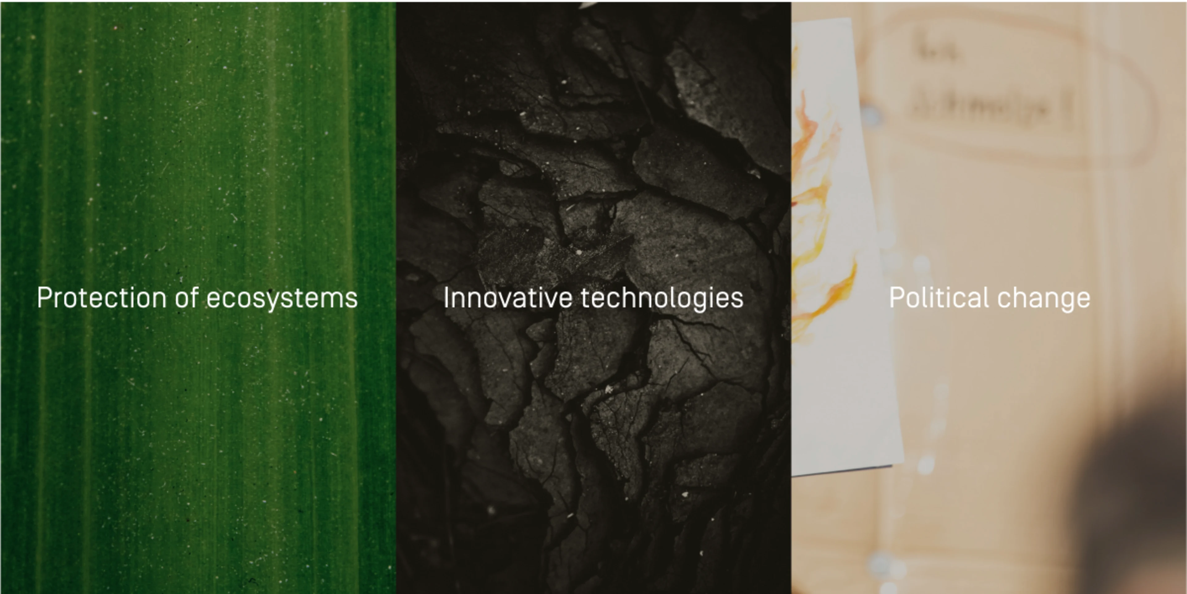 Image selection with one close-up photograph each and associated text. From left to right: photograph of a plant with the text "Protection of ecosystems", photograph of coal with the text "Innovative technologies" and photograph of a protest sign with the text "Political change".