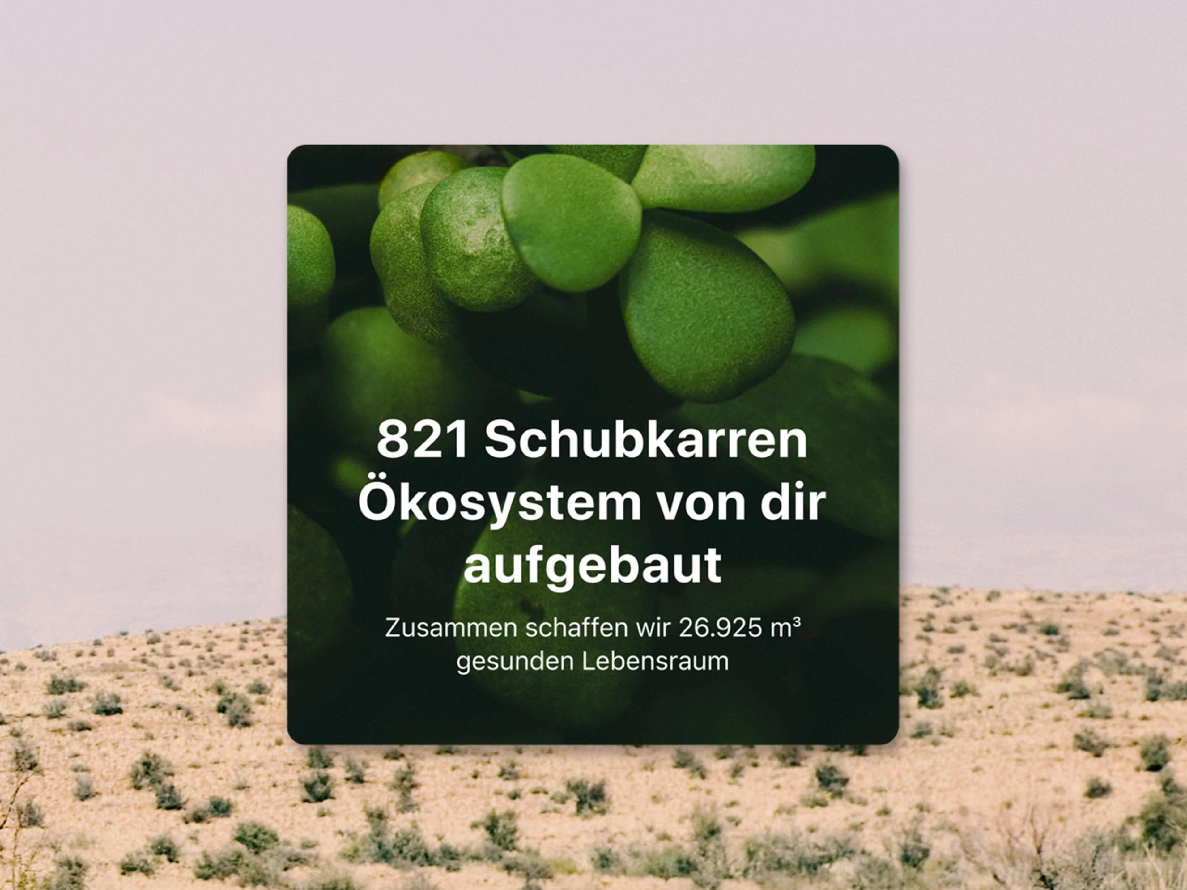 821 Schubkarren Ökosystem von dir aufgebaut.