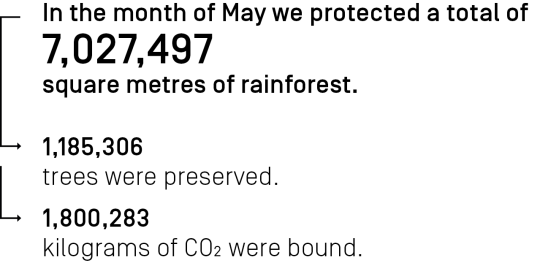 In the month June we protected a total of 7,027,497 square meters of rainforest.
