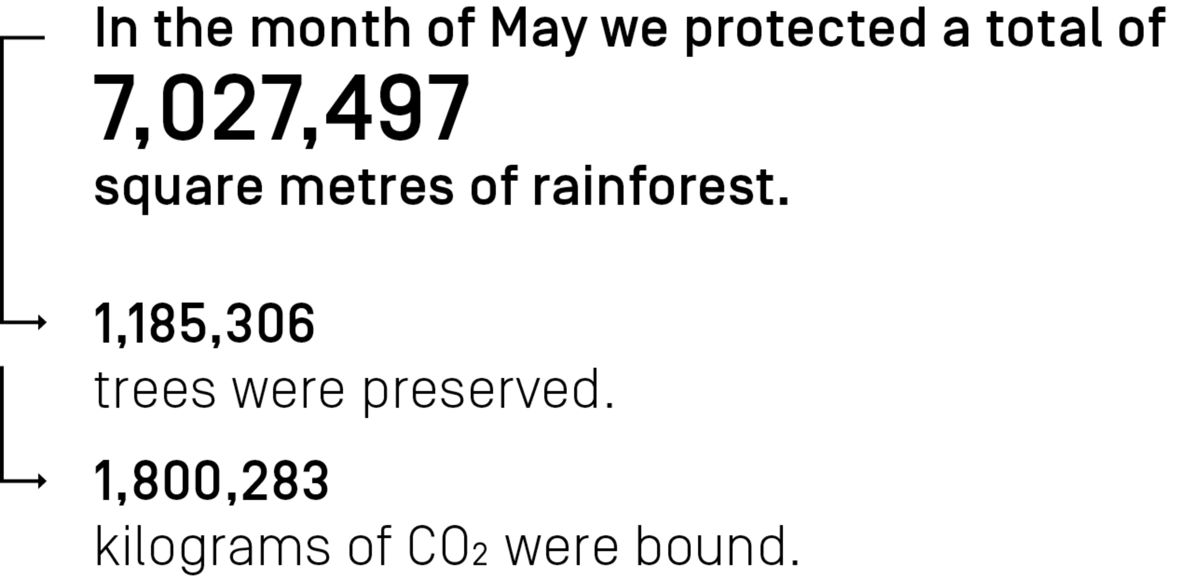 In the month June we protected a total of 7,027,497 square meters of rainforest.